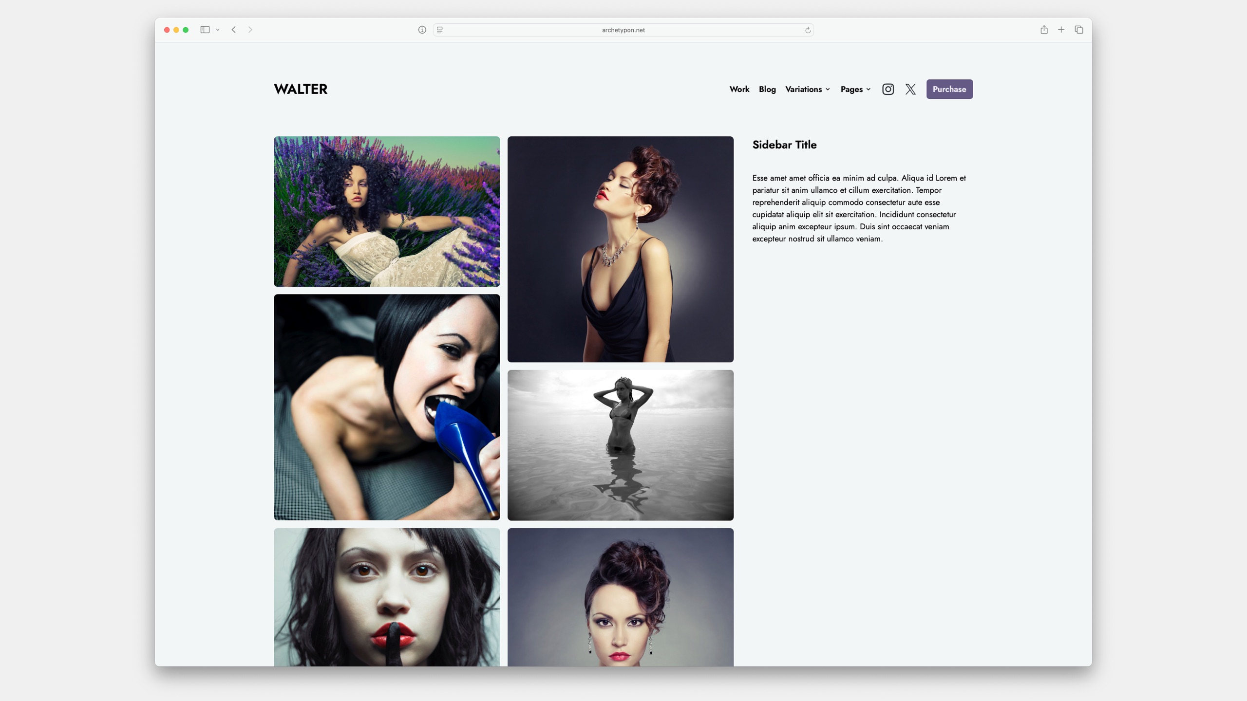 walter elements project